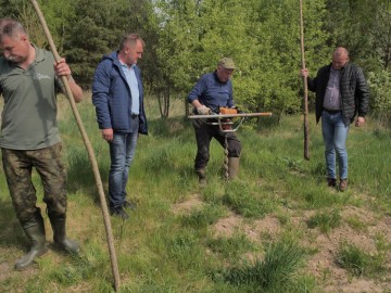 Sadzenie ostrokołów wierzbowych w Kol. Ręczno., 